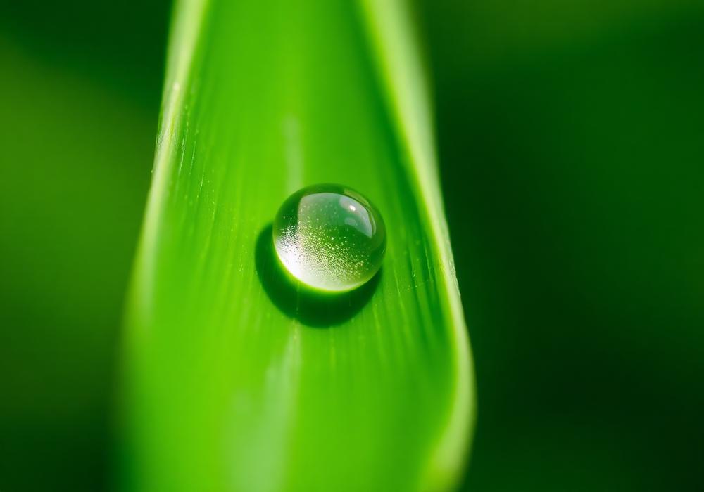 Why shower filtration matters